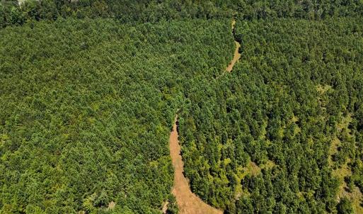 Photo #25 of Off Lagrange Rd, La Grange, NC 86.7 acres