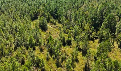 Photo #27 of Off Lagrange Rd, La Grange, NC 86.7 acres