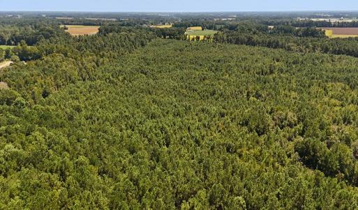 Photo #7 of Off Lagrange Rd, La Grange, NC 86.7 acres
