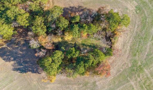 Photo #20 of Off High School Road, Teachey, NC 20.3 acres