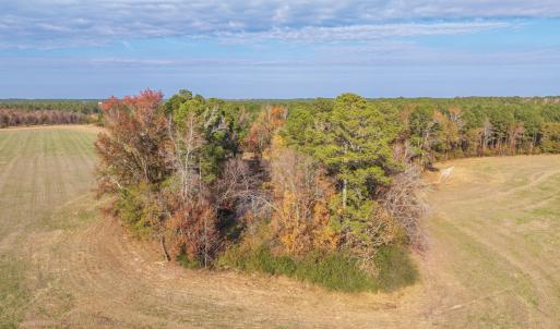 Photo #21 of Off High School Road, Teachey, NC 20.3 acres