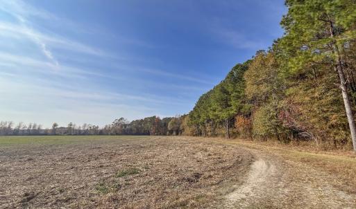 Photo #7 of Off High School Road, Teachey, NC 20.3 acres