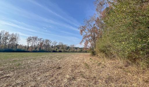 Photo #9 of Off High School Road, Teachey, NC 20.3 acres