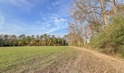 Photo #18 of Off High School Road, Teachey, NC 41.5 acres