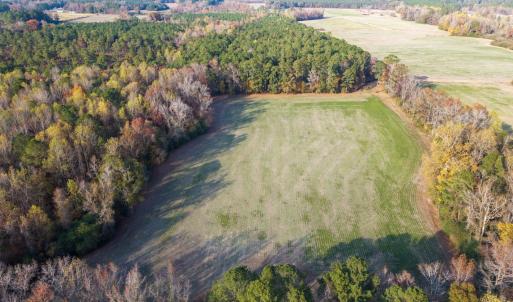 Photo #2 of Off High School Road, Teachey, NC 41.5 acres