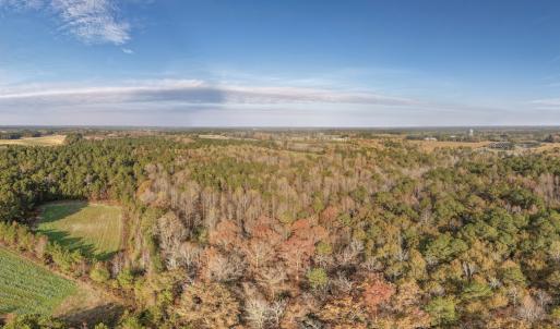 Photo #20 of Off High School Road, Teachey, NC 41.5 acres