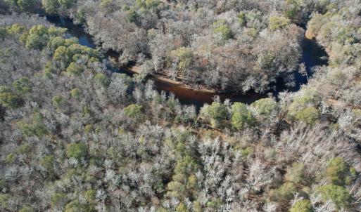 Photo #12 of Off of Macedonia Church Road, Evergreen, NC 17.3 acres