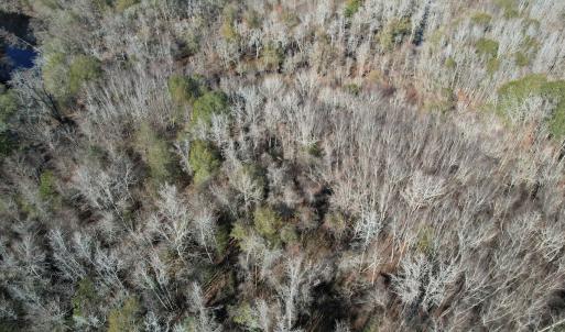 Photo #14 of Off of Macedonia Church Road, Evergreen, NC 17.3 acres