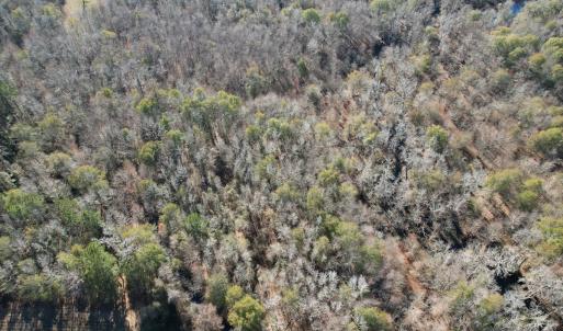 Photo #3 of Off of Macedonia Church Road, Evergreen, NC 17.3 acres