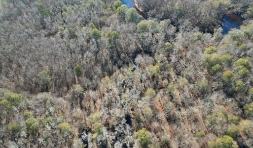 Photo #5 of Off of Macedonia Church Road, Evergreen, NC 17.3 acres
