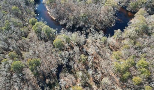 Photo #6 of Off of Macedonia Church Road, Evergreen, NC 17.3 acres