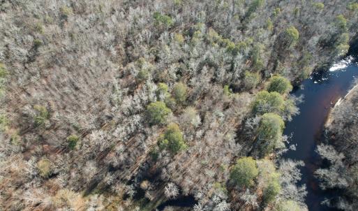 Photo #7 of Off of Macedonia Church Road, Evergreen, NC 17.3 acres