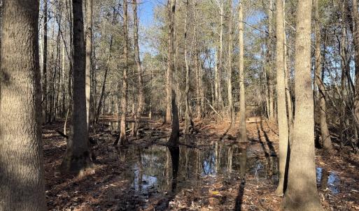 Photo #34 of Off of Macedonia Church Road, Evergreen, NC 17.3 acres