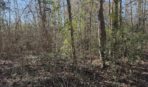 Photo #12 of 4758 Princess Ann Rd, Chadbourn, NC 7.0 acres