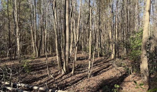 Photo #13 of 4758 Princess Ann Rd, Chadbourn, NC 7.0 acres