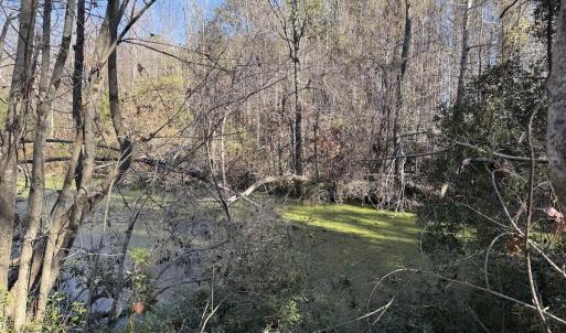 Photo #14 of 4758 Princess Ann Rd, Chadbourn, NC 7.0 acres