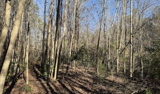 Photo #20 of 4758 Princess Ann Rd, Chadbourn, NC 7.0 acres