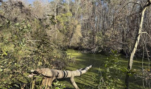 Photo #24 of 4758 Princess Ann Rd, Chadbourn, NC 7.0 acres