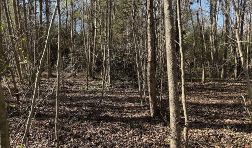 Photo #25 of 4758 Princess Ann Rd, Chadbourn, NC 7.0 acres
