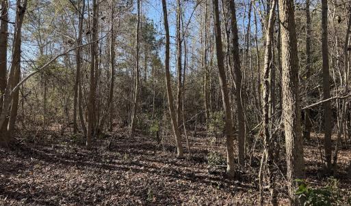 Photo #29 of 4758 Princess Ann Rd, Chadbourn, NC 7.0 acres