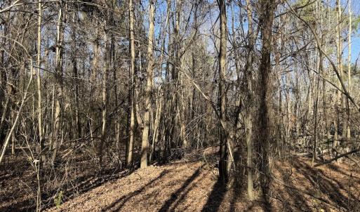Photo #30 of 4758 Princess Ann Rd, Chadbourn, NC 7.0 acres