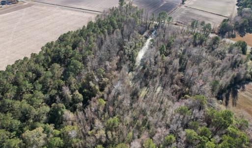Photo #5 of 4758 Princess Ann Rd, Chadbourn, NC 7.0 acres