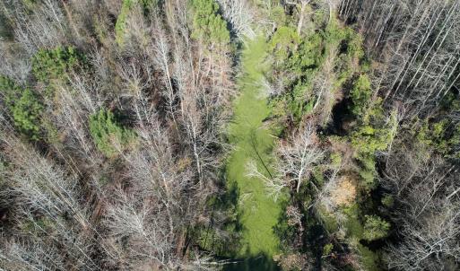 Photo #7 of 4758 Princess Ann Rd, Chadbourn, NC 7.0 acres