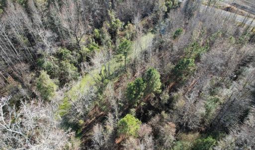 Photo #8 of 4758 Princess Ann Rd, Chadbourn, NC 7.0 acres