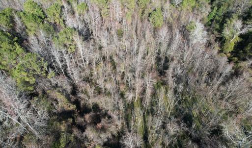 Photo #9 of 4758 Princess Ann Rd, Chadbourn, NC 7.0 acres
