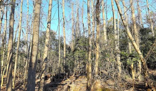 Photo #17 of Off Maple Ave, Sedley, VA 2.1 acres