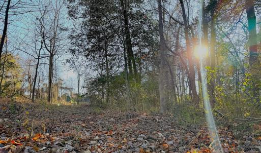 Photo #18 of Off Maple Ave, Sedley, VA 2.1 acres