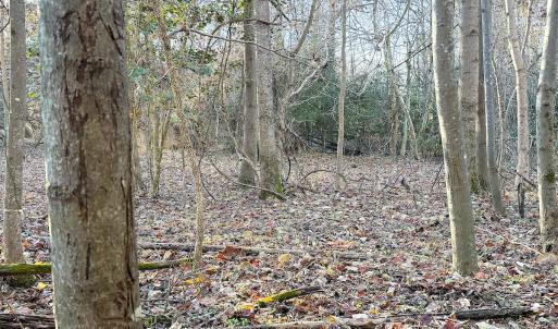 Photo #19 of Off Maple Ave, Sedley, VA 2.1 acres