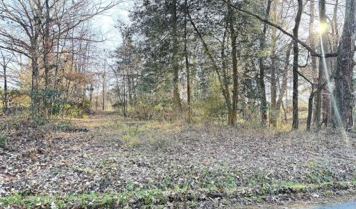 Photo #2 of Off Maple Ave, Sedley, VA 2.1 acres