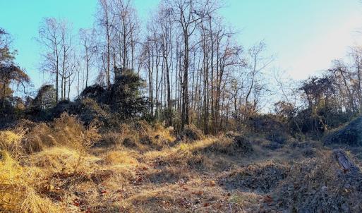 Photo #23 of Off Maple Ave, Sedley, VA 2.1 acres