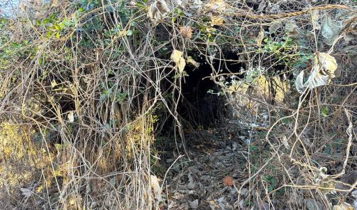 Photo #24 of Off Maple Ave, Sedley, VA 2.1 acres