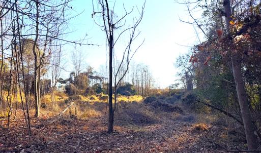 Photo #25 of Off Maple Ave, Sedley, VA 2.1 acres