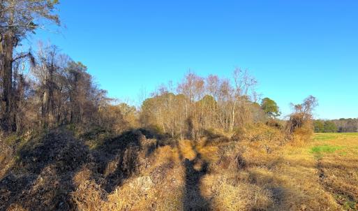 Photo #28 of Off Maple Ave, Sedley, VA 2.1 acres