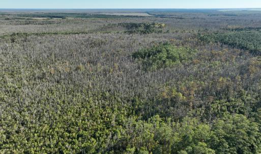 Photo #14 of Off Old Hwy 64, Columbia, NC 156.0 acres