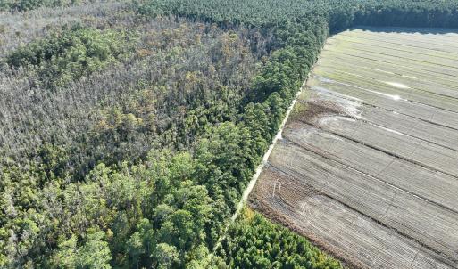 Photo #15 of Off Old Hwy 64, Columbia, NC 156.0 acres