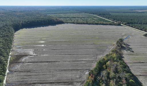 Photo #16 of Off Old Hwy 64, Columbia, NC 156.0 acres