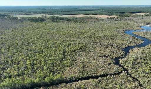 Photo #17 of Off Old Hwy 64, Columbia, NC 156.0 acres