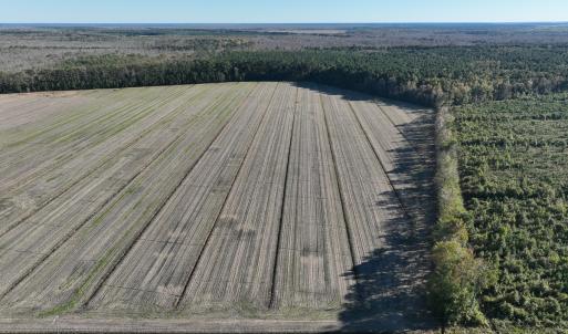 Photo #2 of Off Old Hwy 64, Columbia, NC 156.0 acres