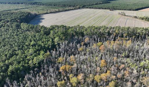 Photo #20 of Off Old Hwy 64, Columbia, NC 156.0 acres