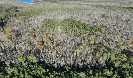 Photo #21 of Off Old Hwy 64, Columbia, NC 156.0 acres