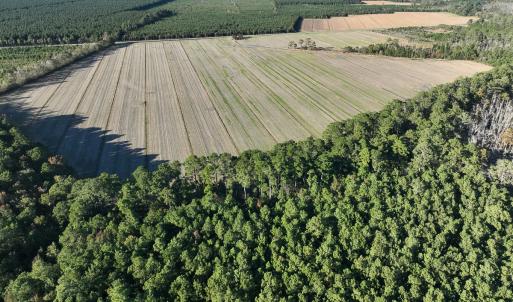 Photo #22 of Off Old Hwy 64, Columbia, NC 156.0 acres