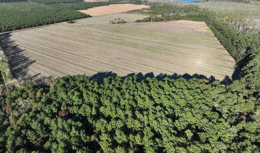 Photo #23 of Off Old Hwy 64, Columbia, NC 156.0 acres