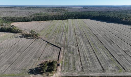 Photo #3 of Off Old Hwy 64, Columbia, NC 156.0 acres