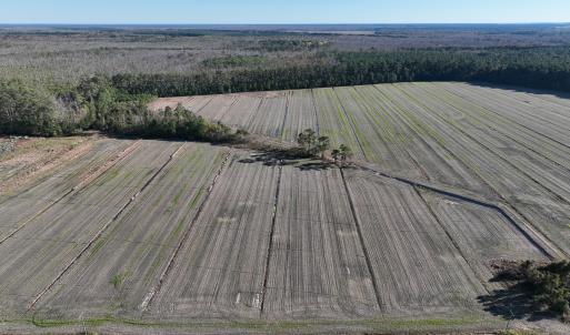Photo #4 of Off Old Hwy 64, Columbia, NC 156.0 acres
