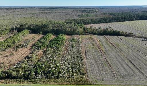 Photo #5 of Off Old Hwy 64, Columbia, NC 156.0 acres