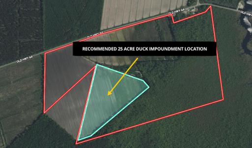 Photo #7 of Off Old Hwy 64, Columbia, NC 156.0 acres
